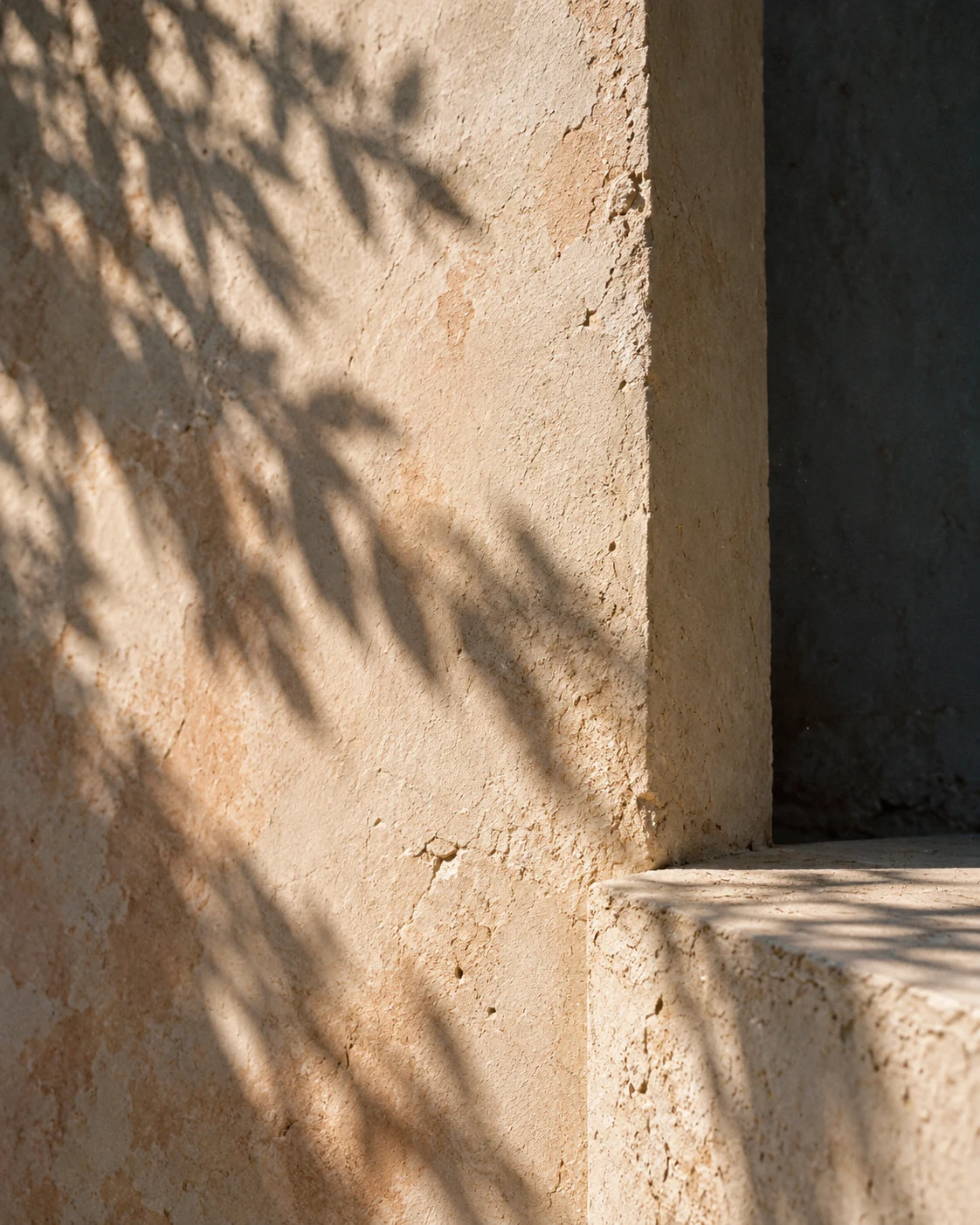 Soft olive-tree shadows on textured stone